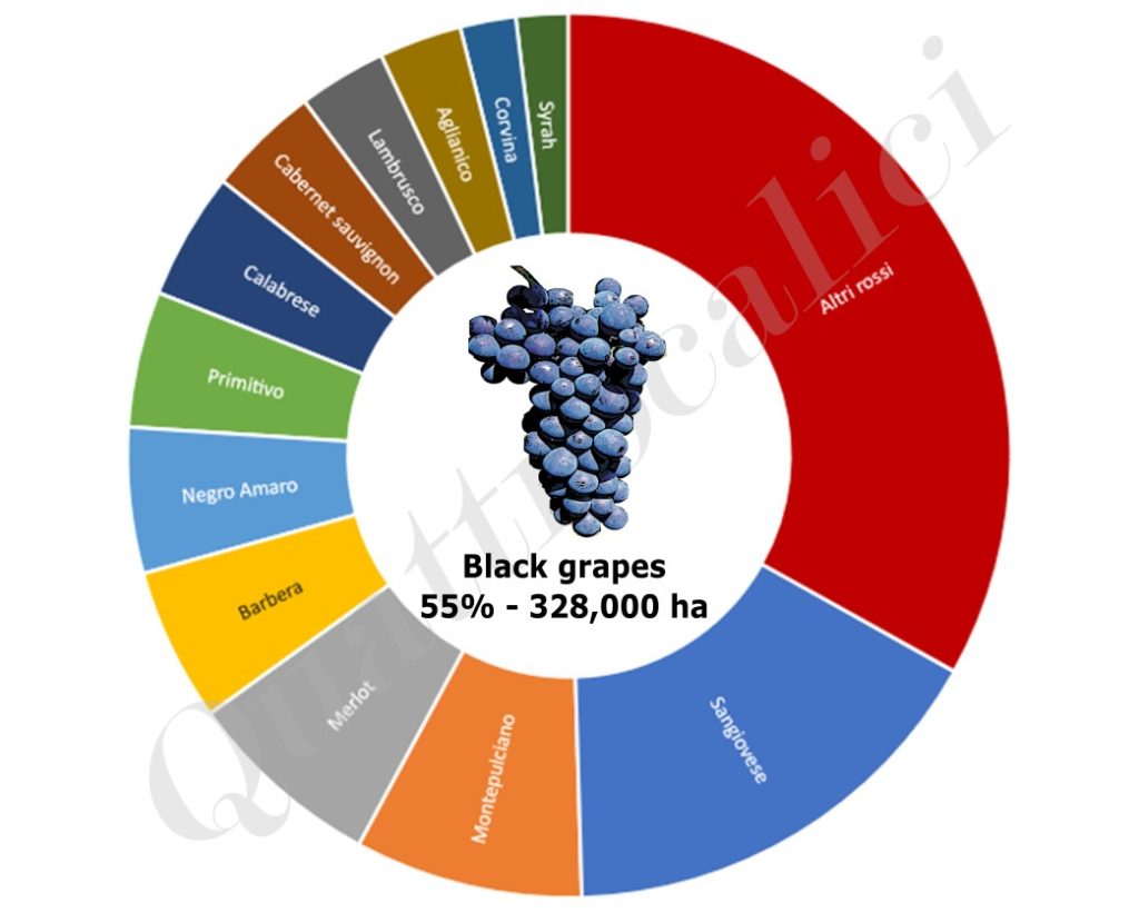 principali vitigni bacca nera italia grafico