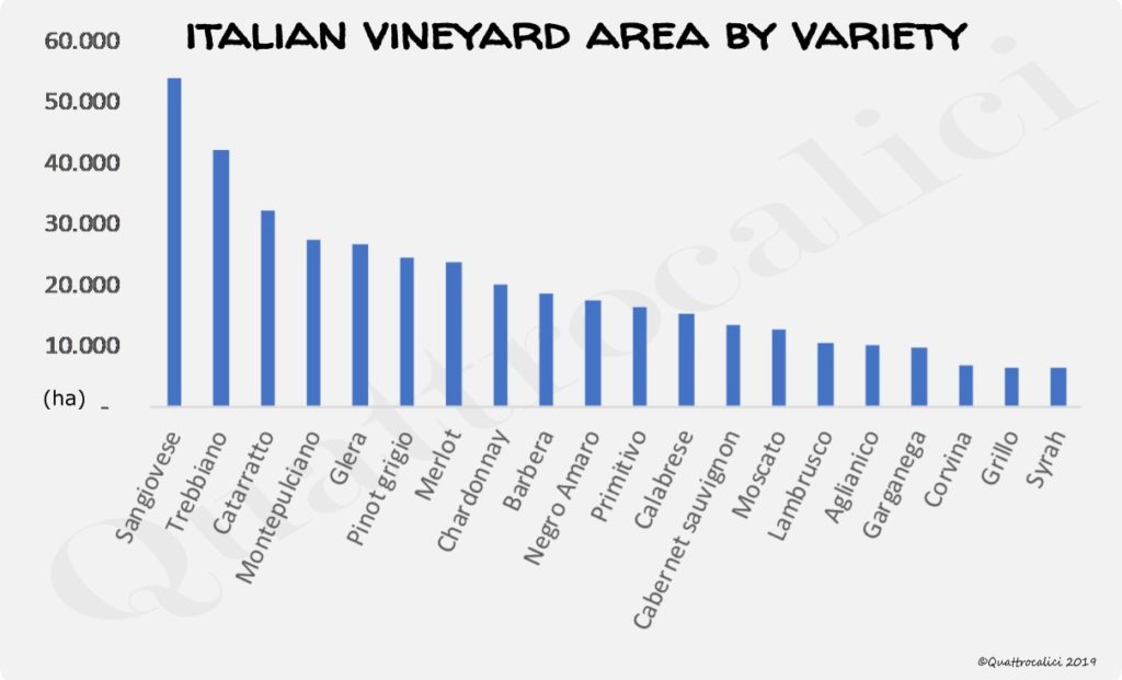 superficie vitata italia per vitigno grafico