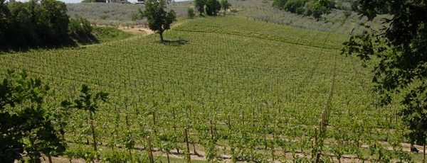 Colle Ciocco 3