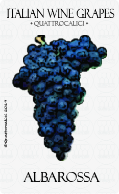 vitigno albarossa