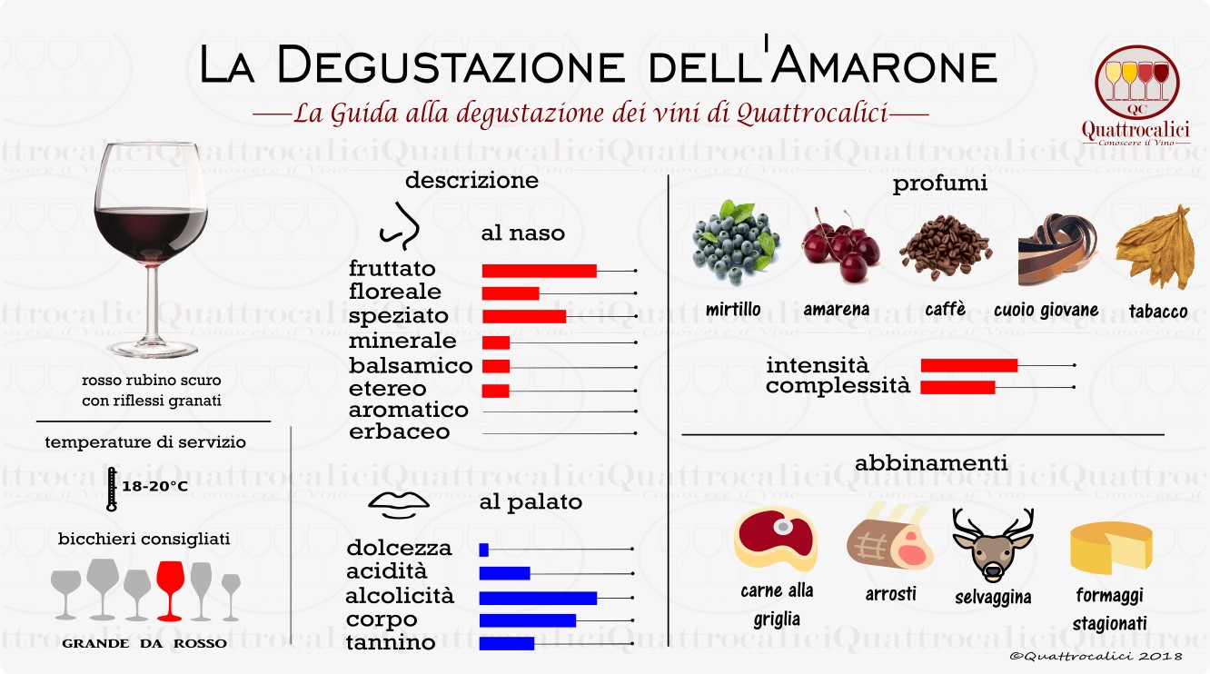amarone-degustazione