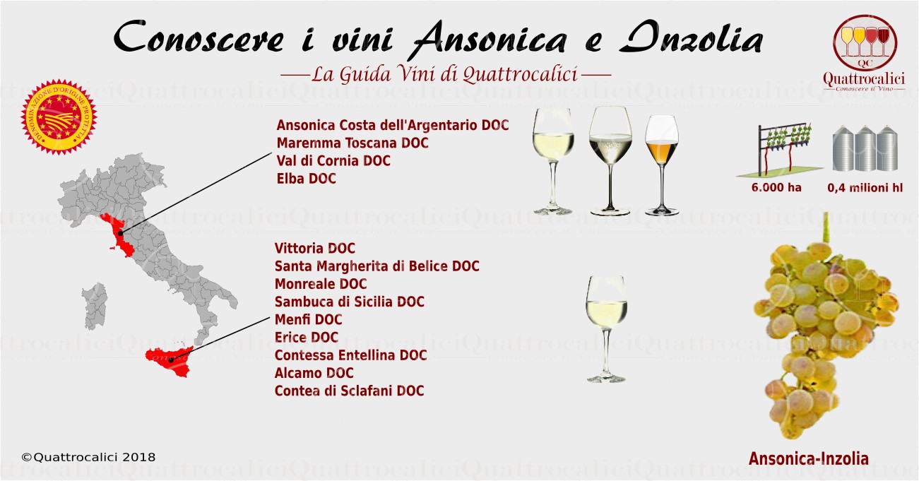 Conoscere l'Ansonica e l'Inzolia