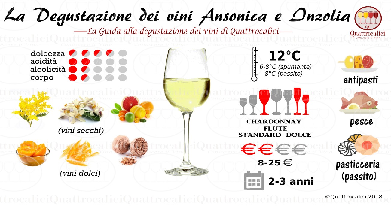 ansonica-inzolia-degustazione