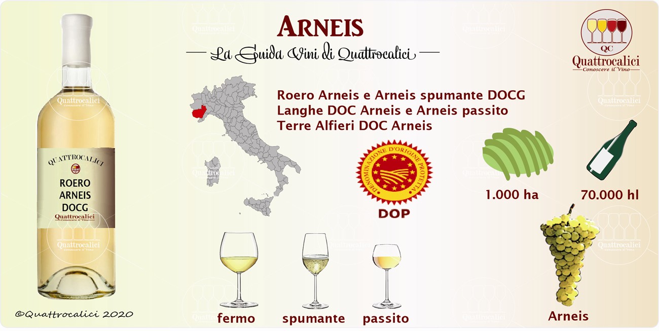 arneis guida vini