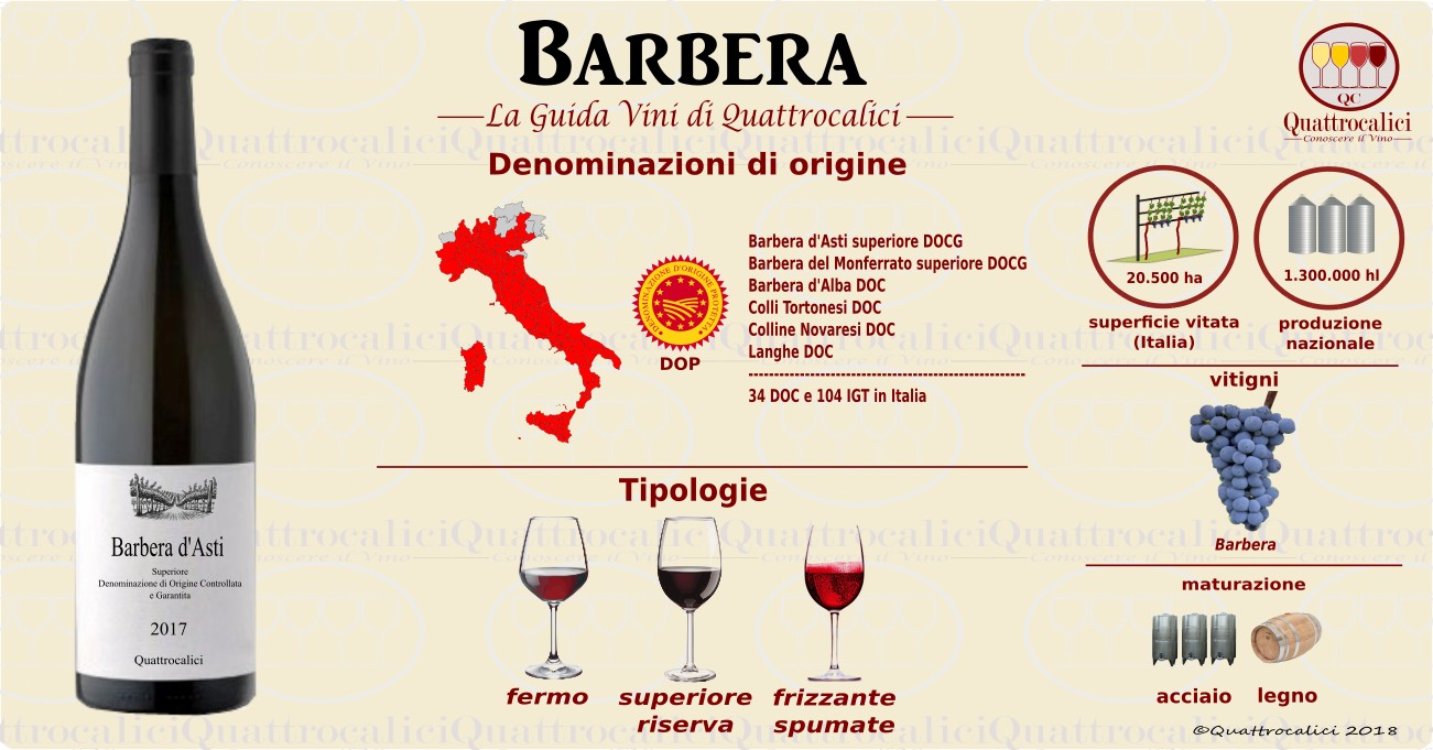 barbera-vino