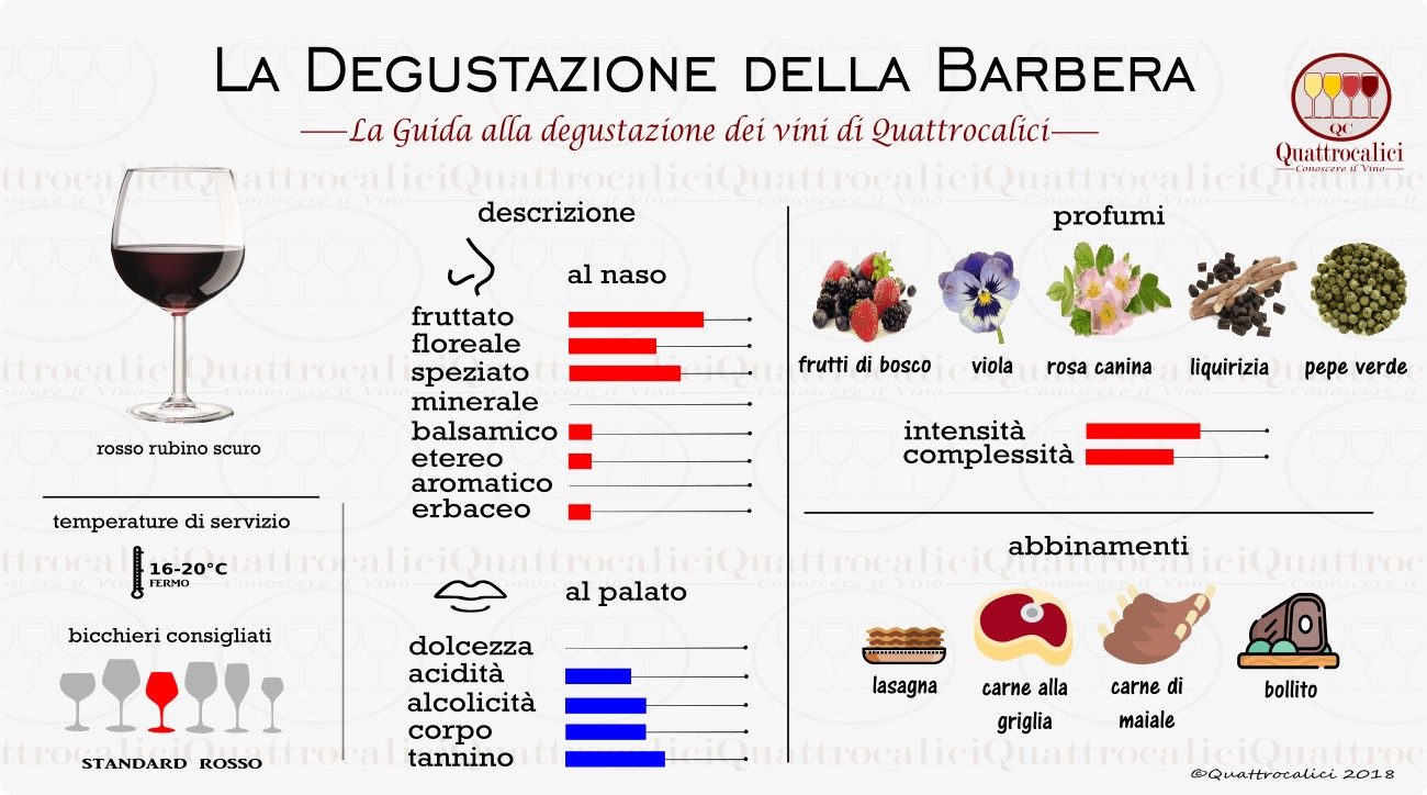 barbera-degustazione