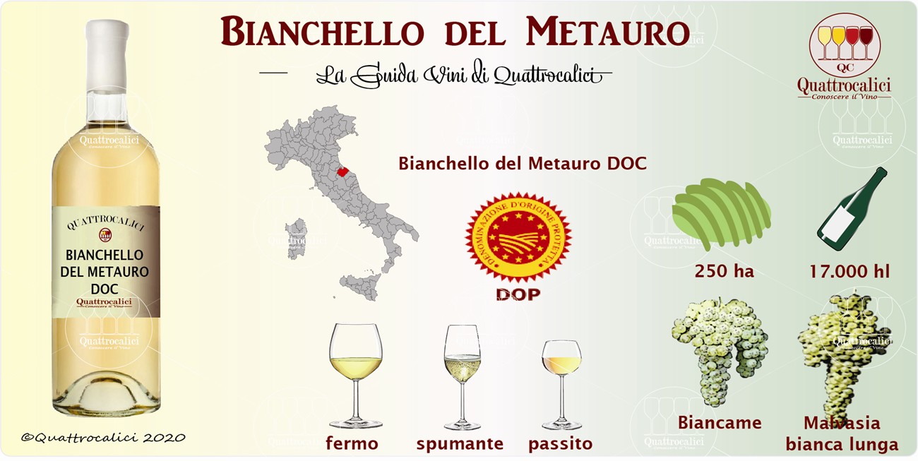 bianchello del metauro guida vini