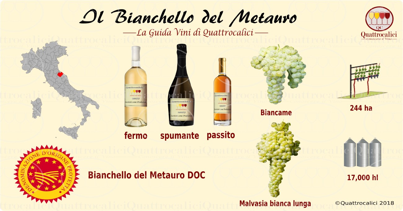bianchello-del-metauro
