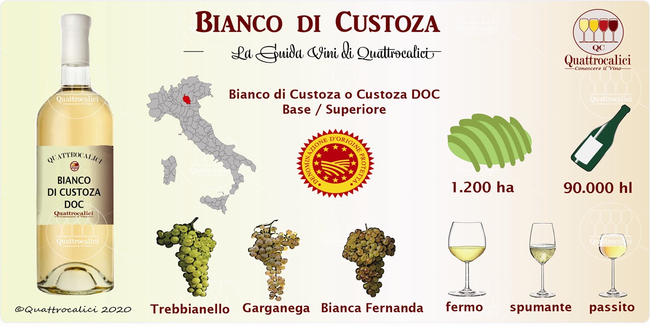 bianco di custoza guida vini