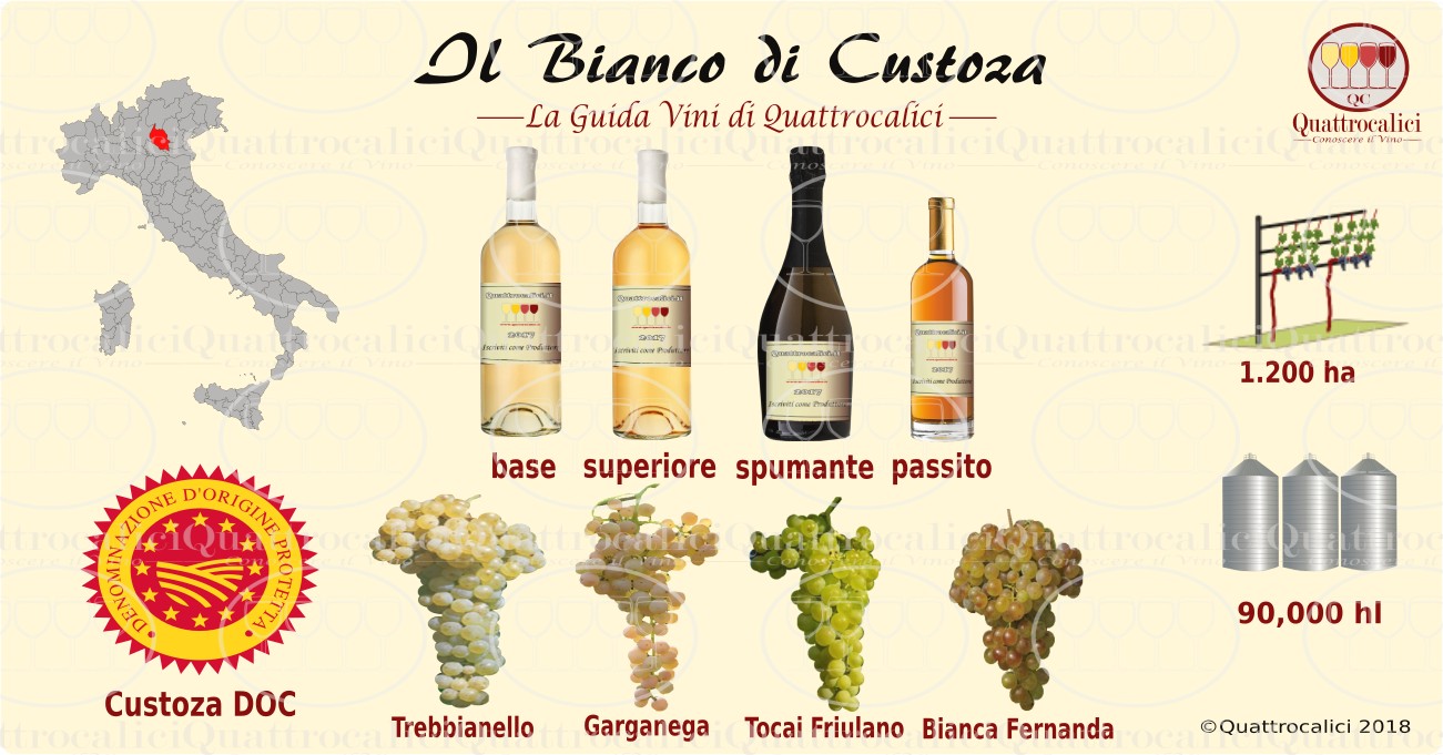 bianco-di-custoza