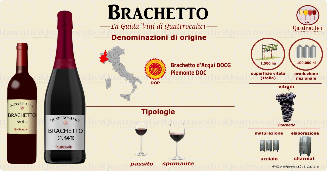 brachetto vino