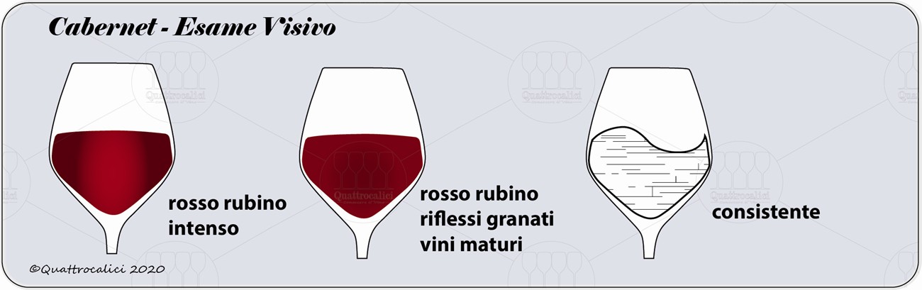 degustazione cabernet visivo