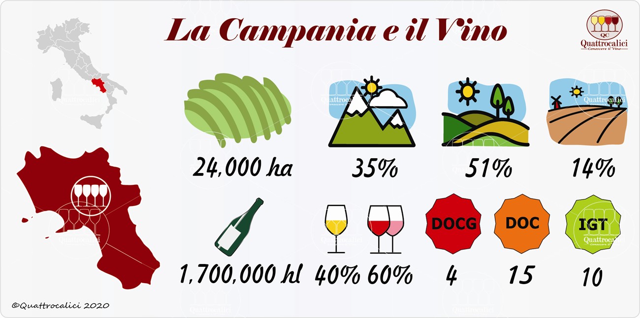 vino e vini in campania