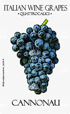 cannonau vitigno