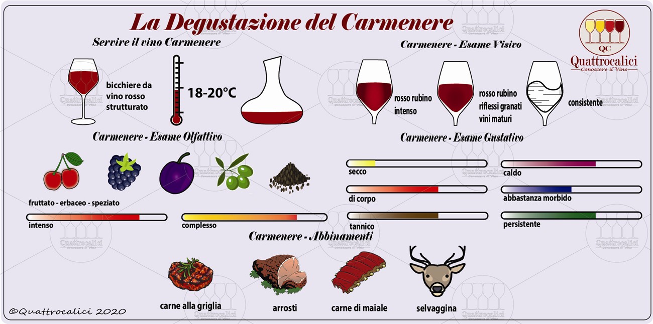degustazione carmenere