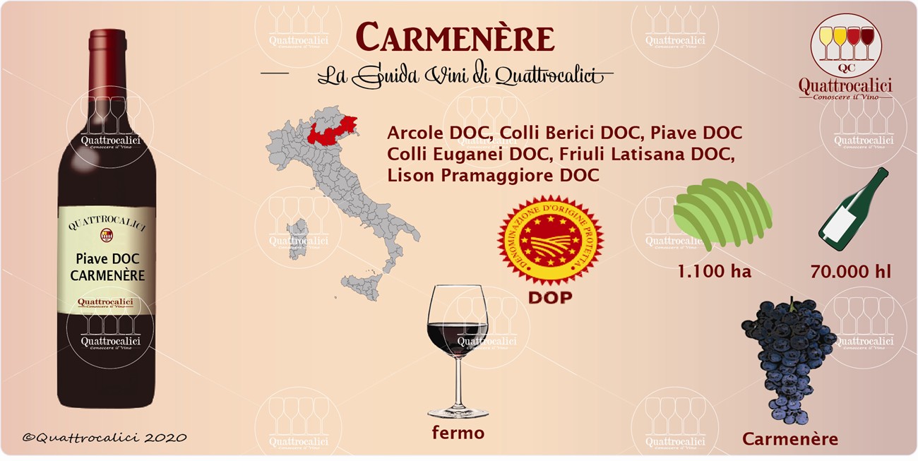 carmenere guida vini