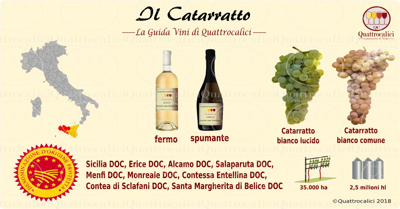 catarratto