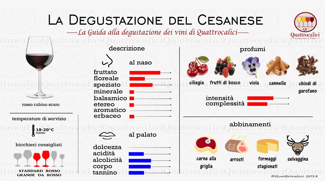 cesanese degustazione vini