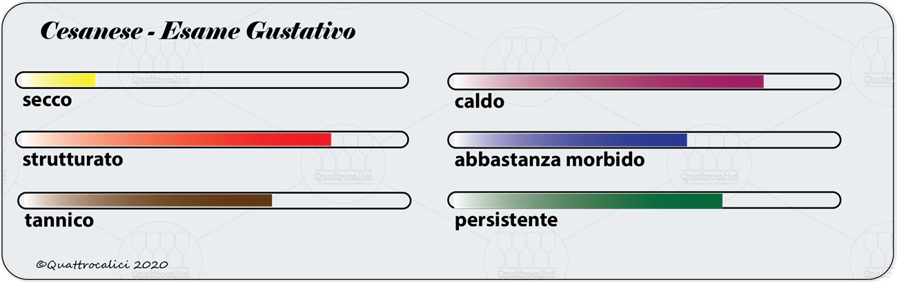 degustazione cesanese gustativo