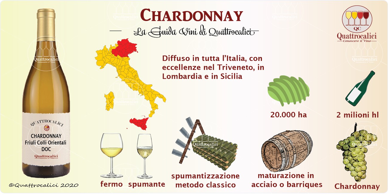 chardonnay guida vini