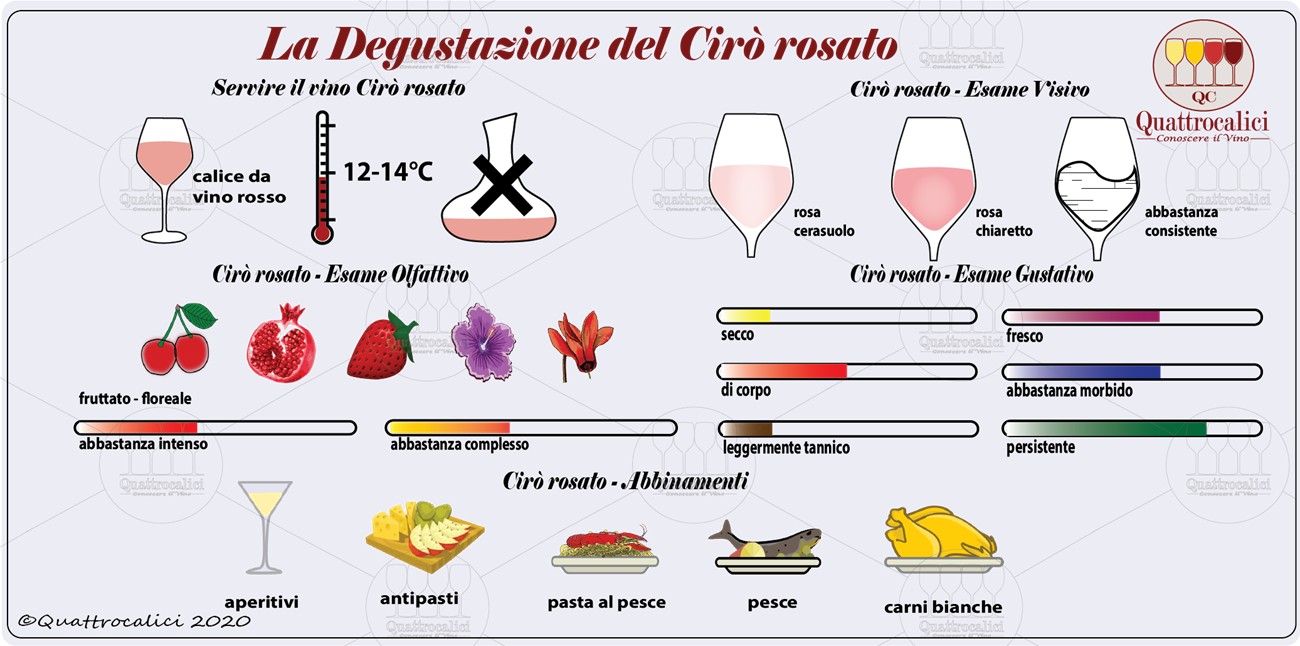 degustazione cirò rosato
