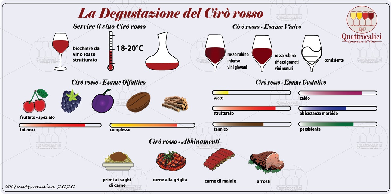 degustazione cirò rosso