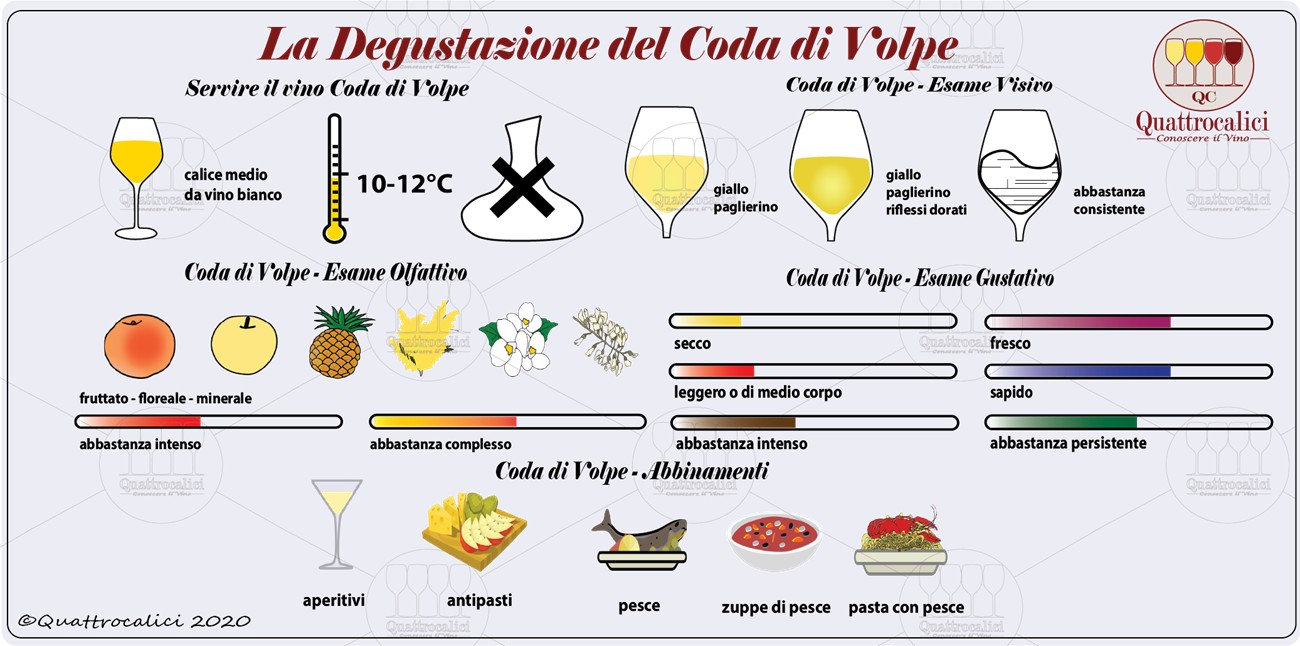 degustazione coda di volpe
