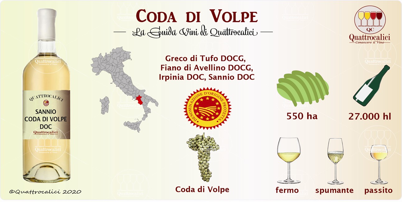coda di volpe guida vini