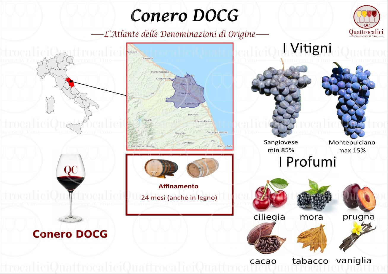 conero-docg