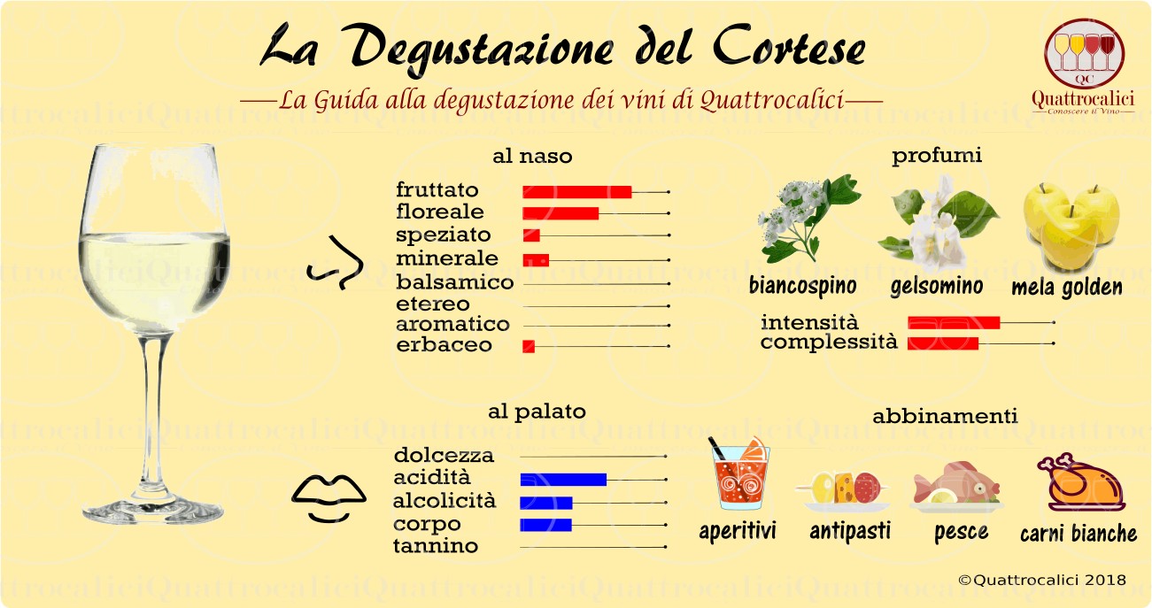 cortese-degustazione