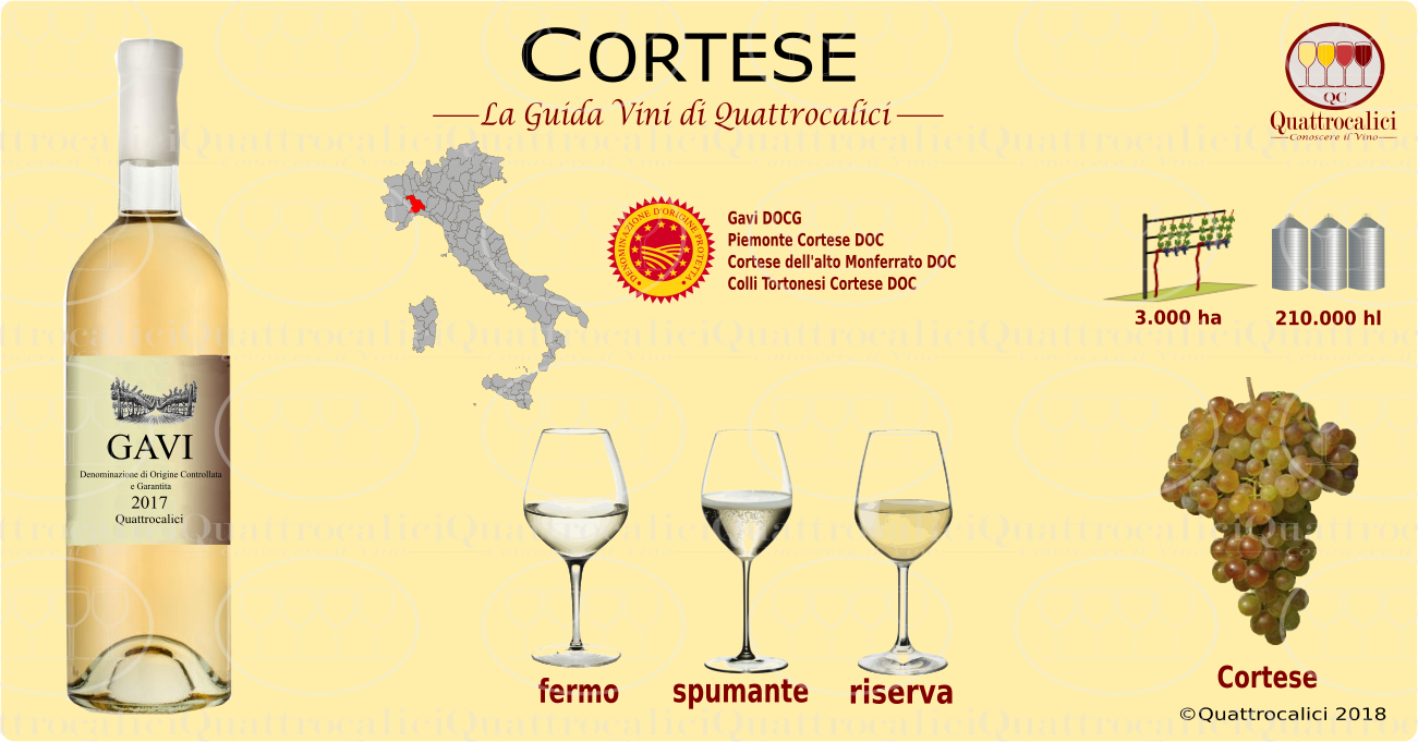vini cortese