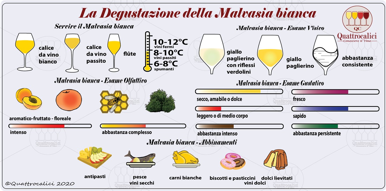 degustazione malvasia bianca