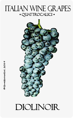 diolinoir vitigno