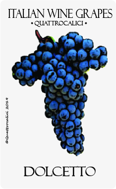 dolcetto vitigno