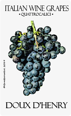 doux d'henry vitigno