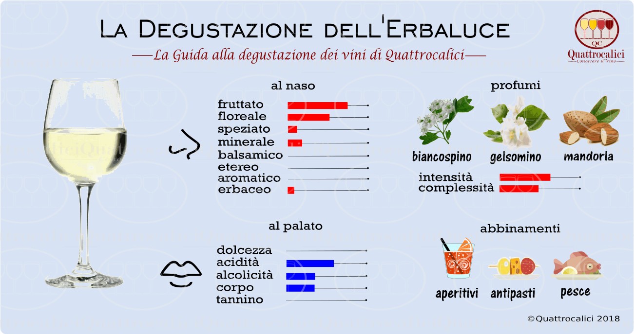 erbaluce-degustazione
