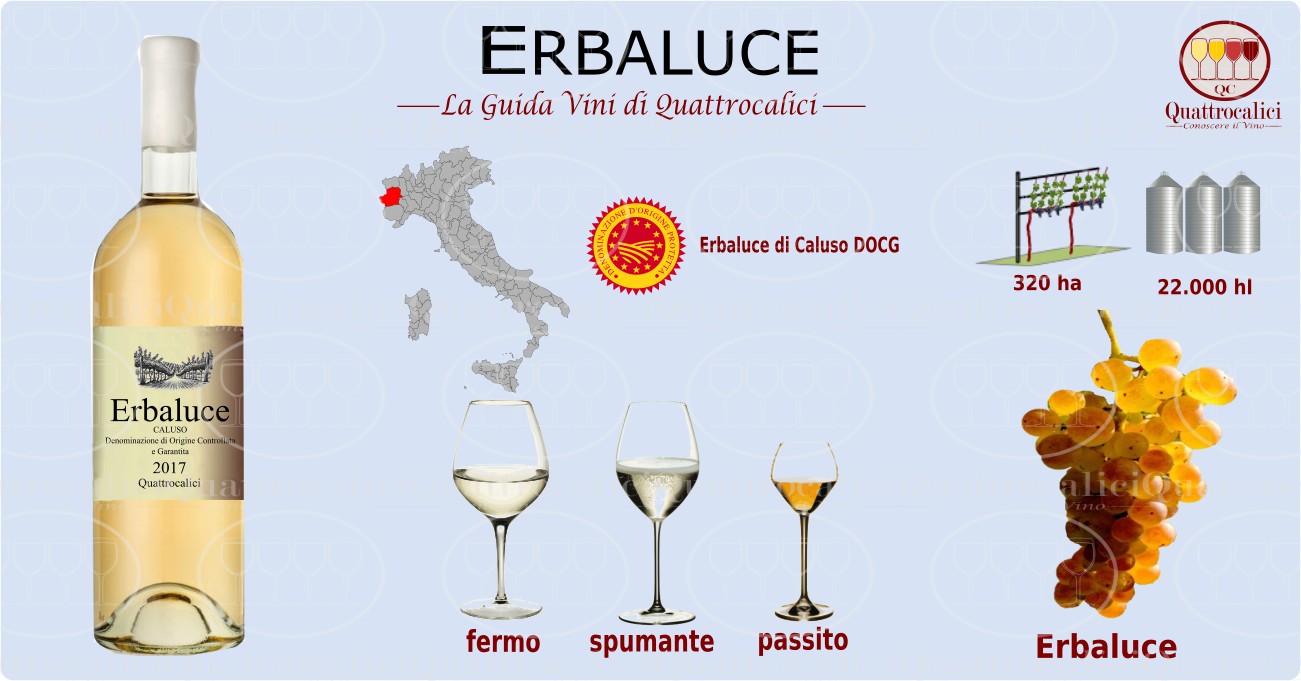 erbaluce vini