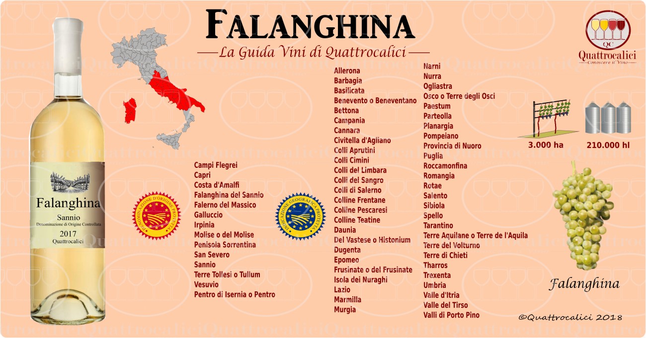 falanghina-vini