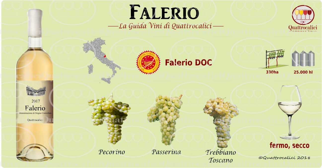 falerio-vino