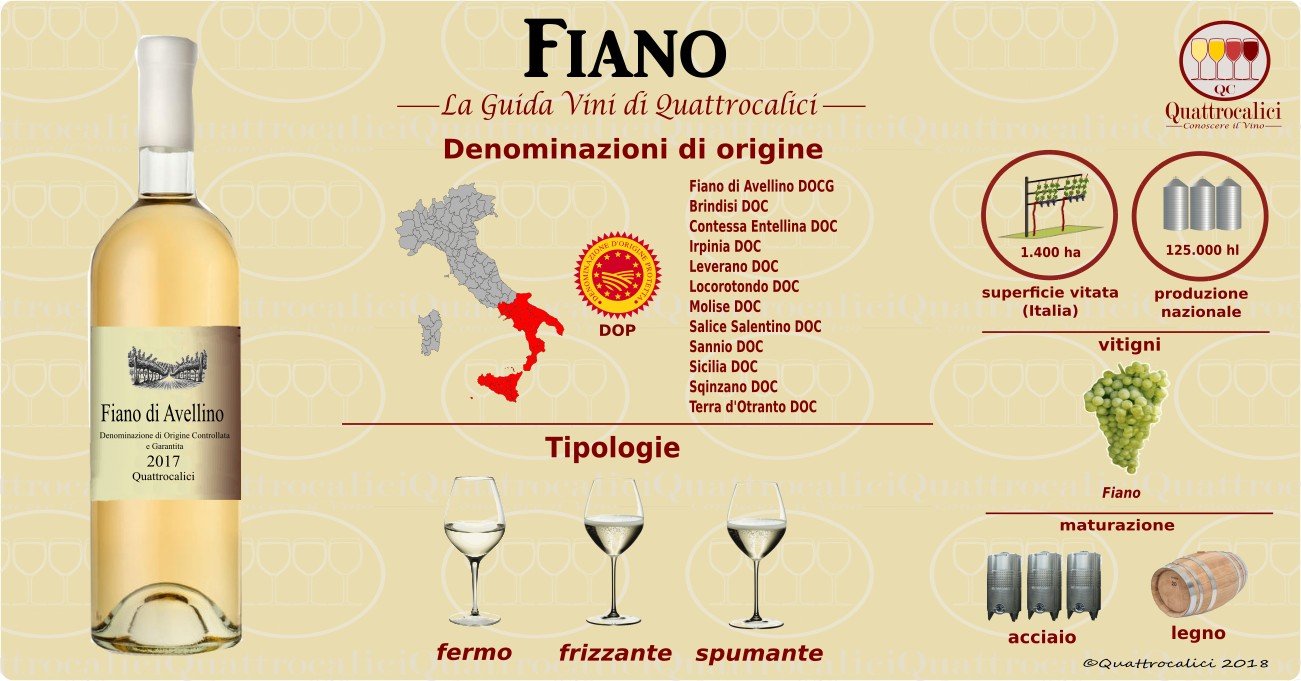 fiano-categoria vino