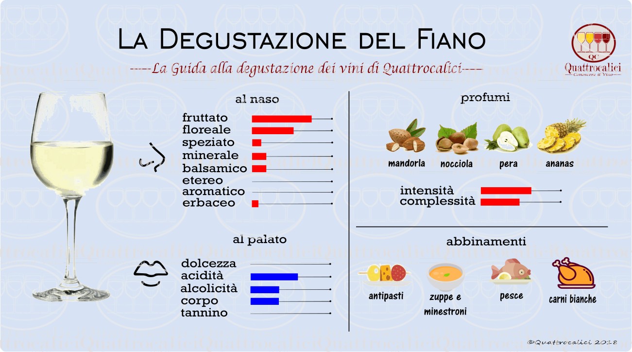fiano note di degustazione