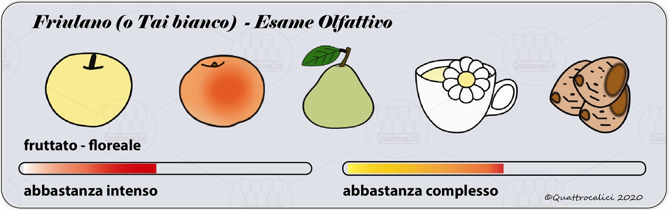 degustazione friulano o Tai bianco olfattivo