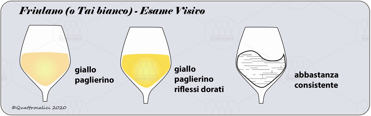 degustazione friulano o Tai bianco visiv