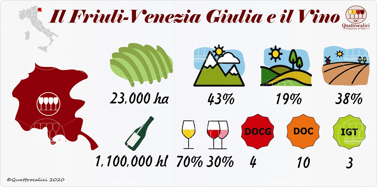 vino e vini in friuli-venezia giulia