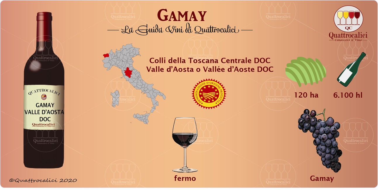 gamay guida vini