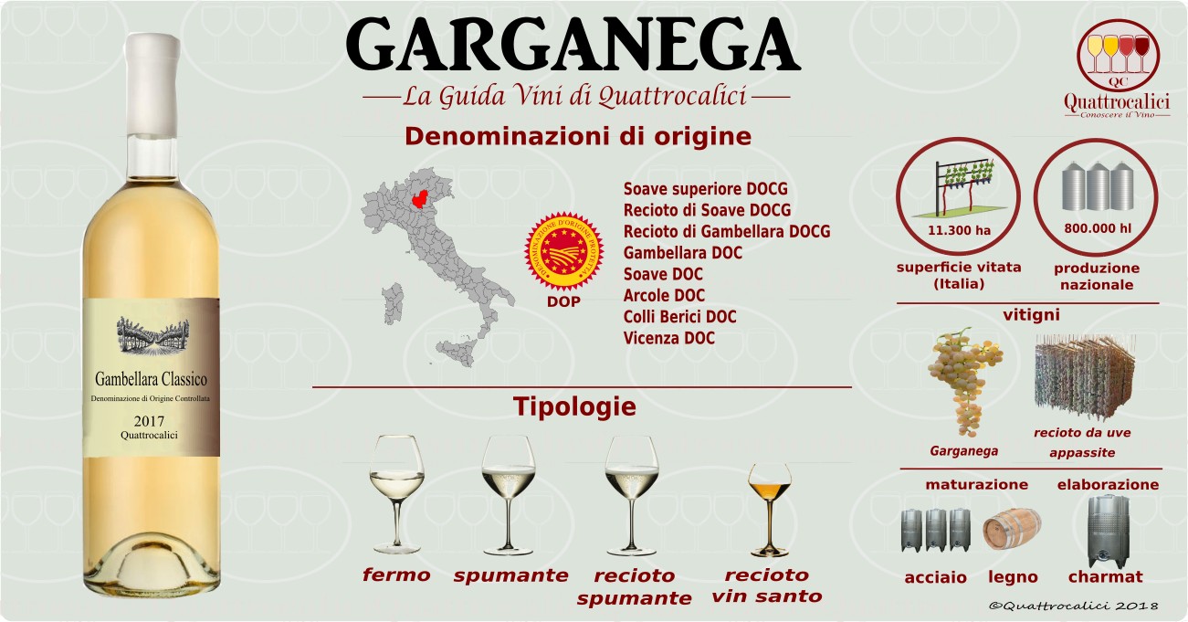 garganega vini