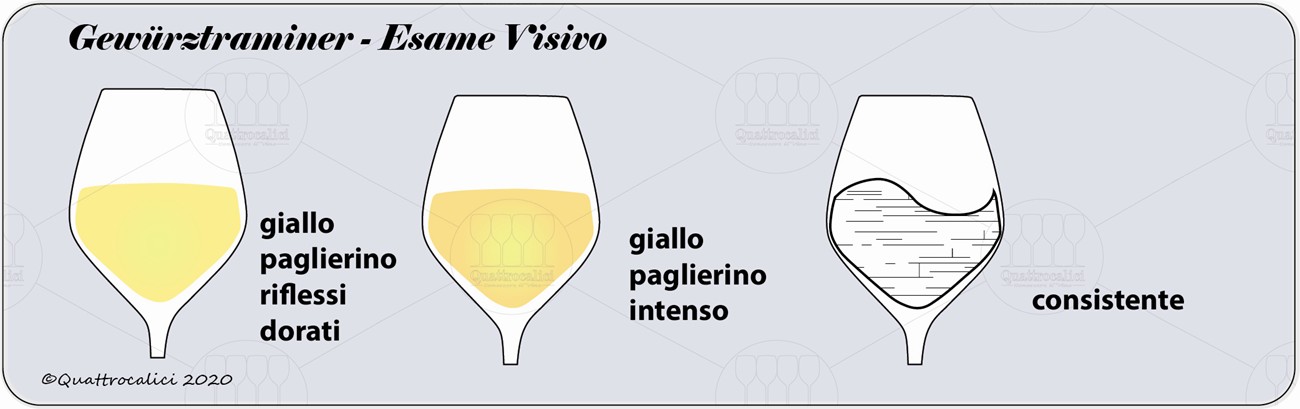 degustazione gewurztraminer visivo