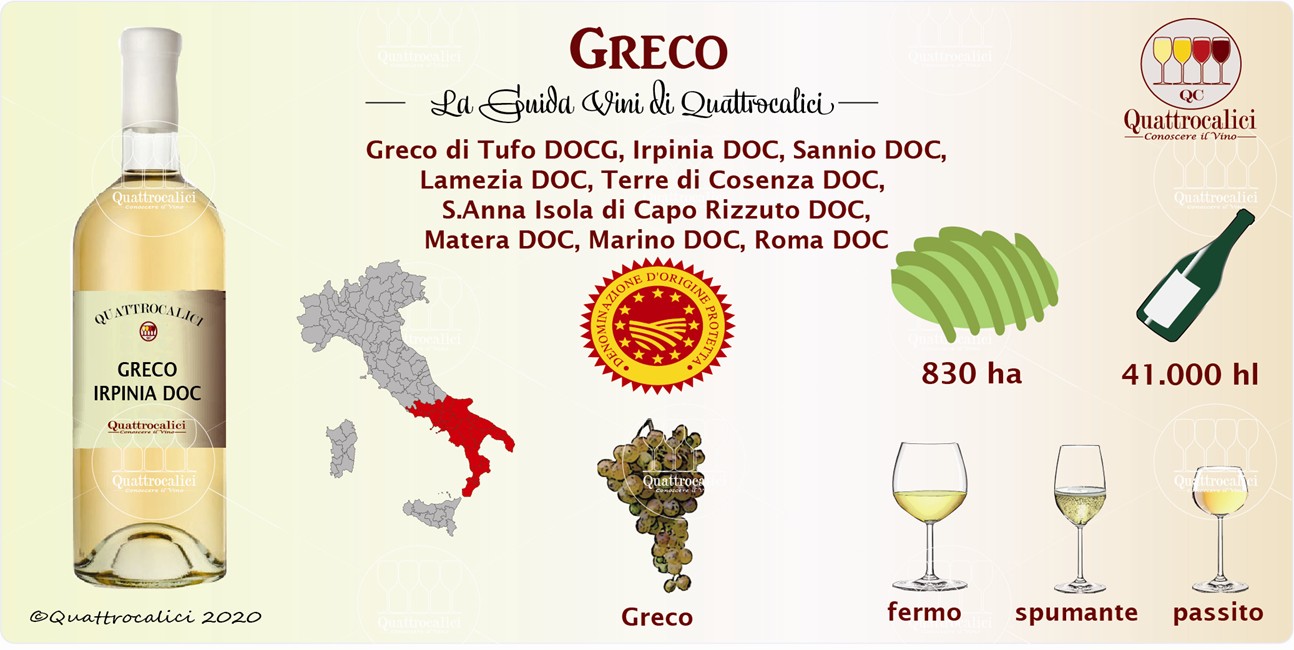 greco guida vini