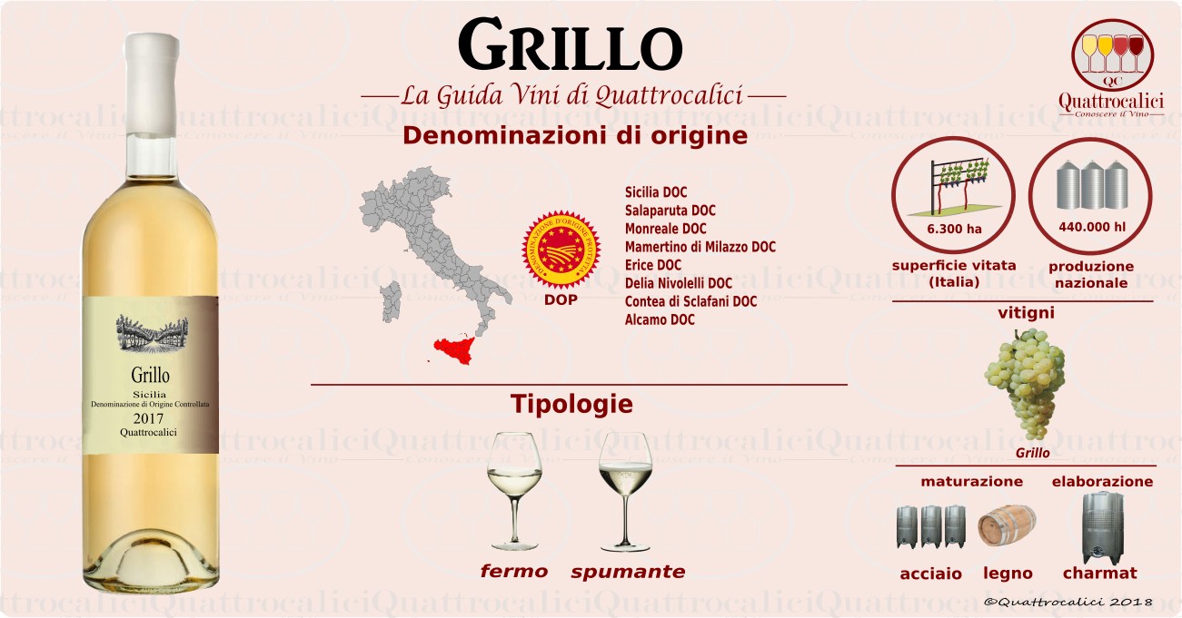 grillo vini