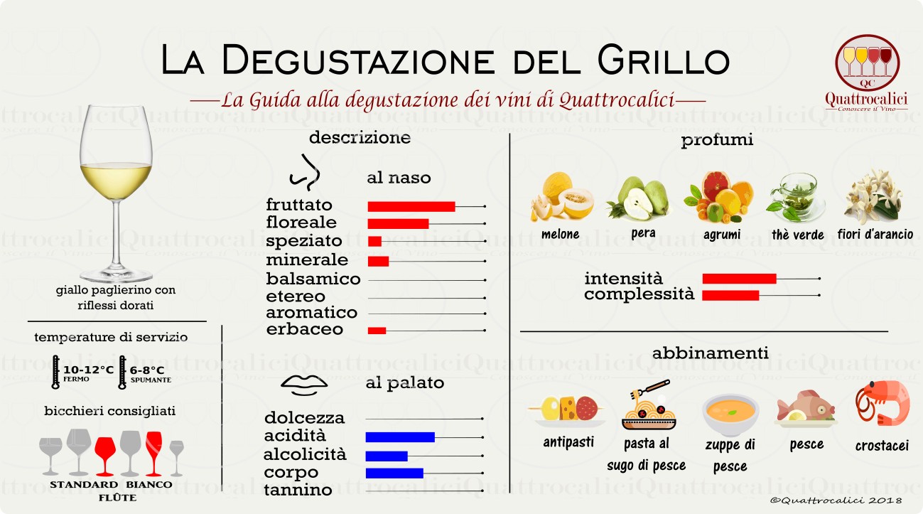 grillo degustazione vino